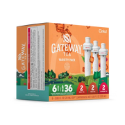 Gateway Tea® 6-Pack Variety Pack - Fresh Style