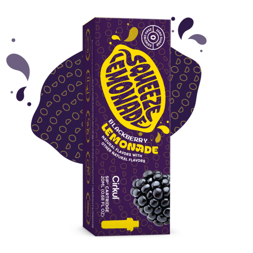 Squeeze Blackberry Lemonade - Ready Routine